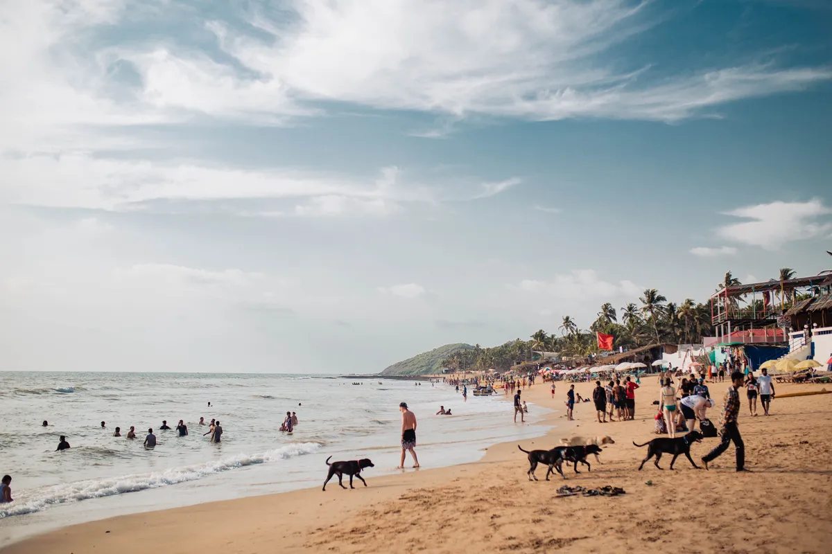 Baga Travel Guide