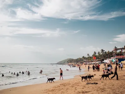 Baga Travel Guide