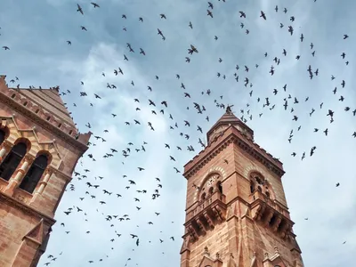 Bhuj Travel Guide