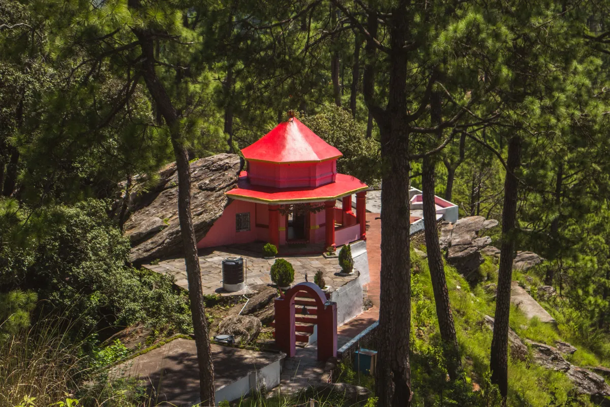 Binsar Travel Guide — Himalayan Panorama on a Budget