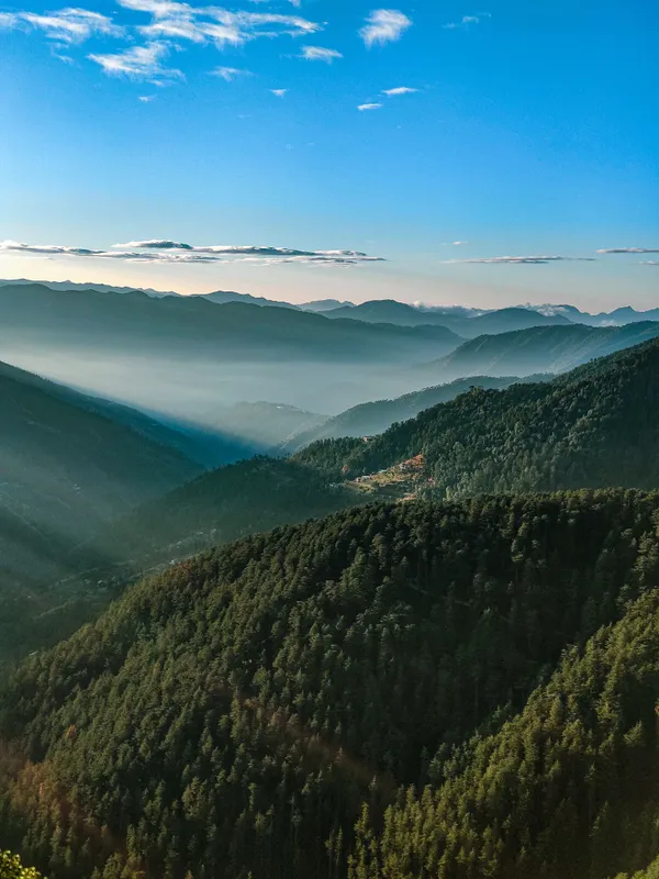 Chail Travel Guide