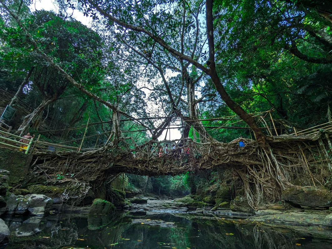 Cherrapunji Travel Guide — Root Bridges on a Budget