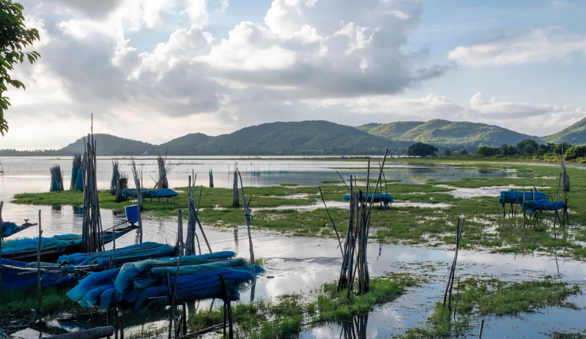 Chilika Lake Travel Guide