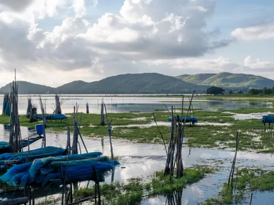 Chilika Lake Travel Guide