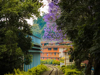 Coonoor Travel Guide