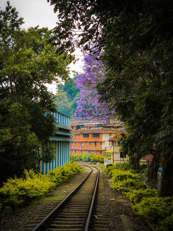 Coonoor Travel Guide