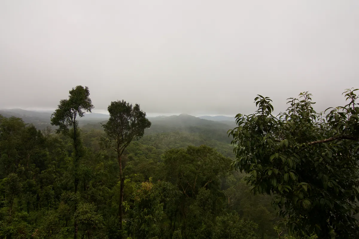 Coorg Travel Guide — Scotland of India on a Budget