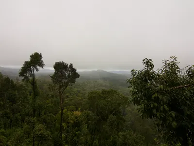 Coorg Travel Guide — Scotland of India on a Budget