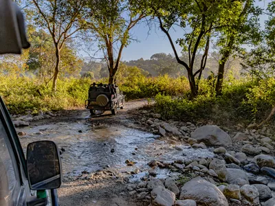 Corbett National Park Travel Guide