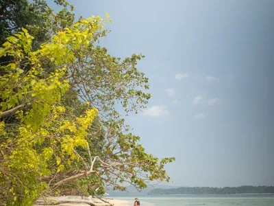 Diglipur Travel Guide