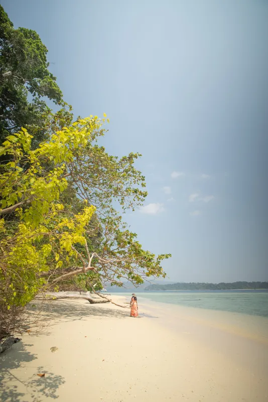 Diglipur Travel Guide
