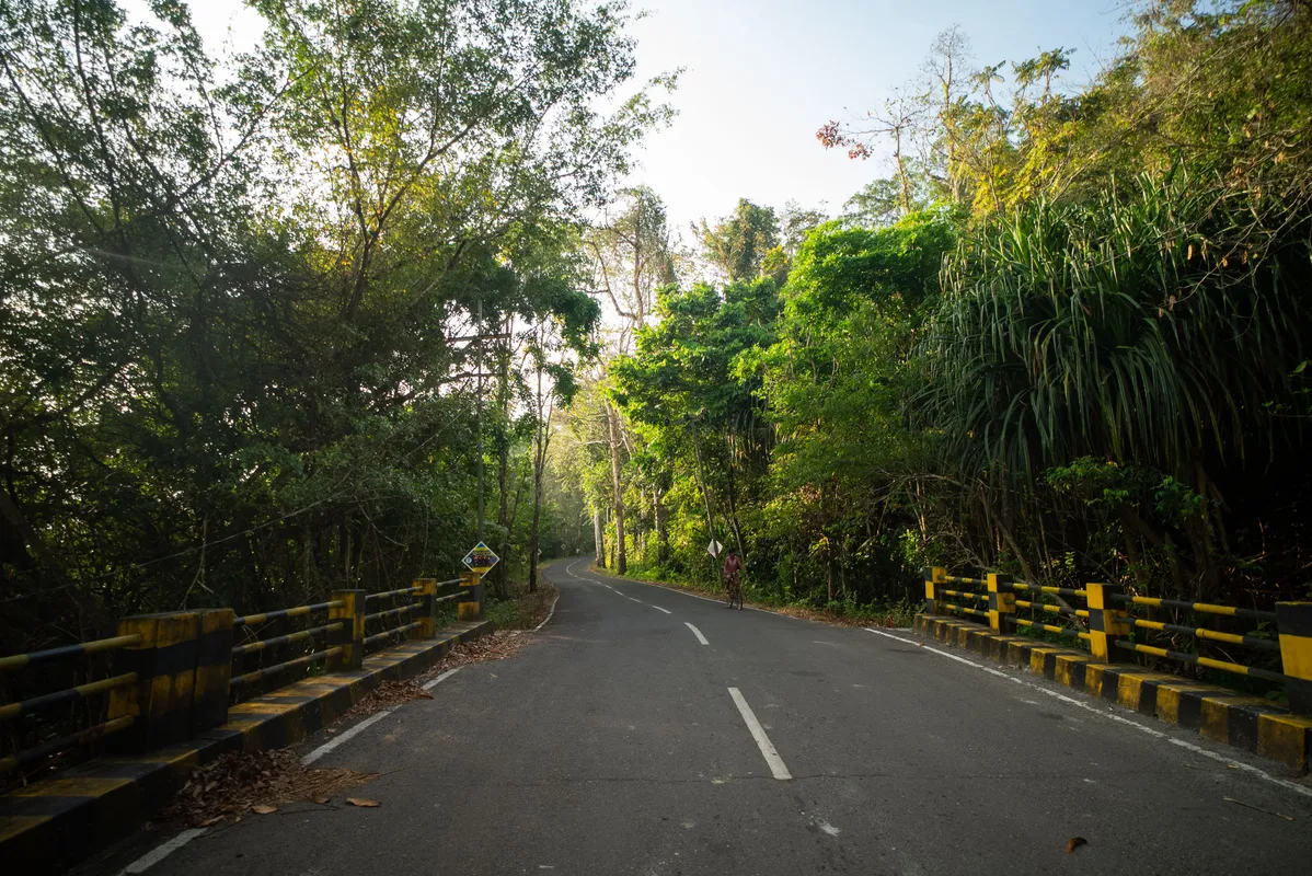 Havelock Island Travel Guide — Budget Andaman Escape