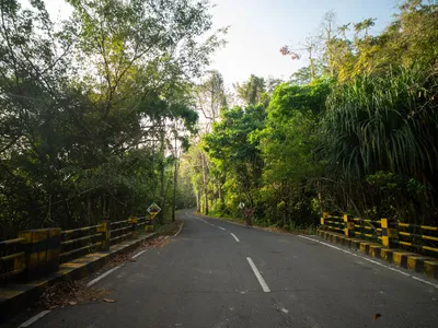 Havelock Island Travel Guide — Budget Andaman Escape