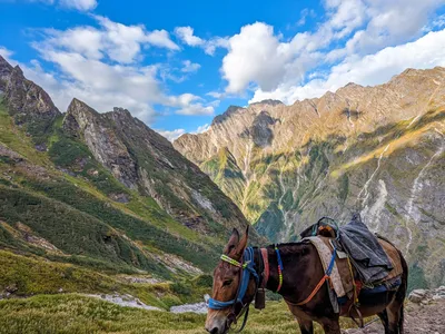 Hemkund Sahib Trek