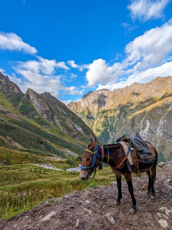 Hemkund Sahib Trek