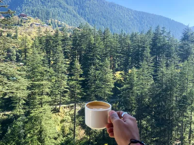 Jibhi and Tirthan Valley — Quiet Himachal on a Budget
