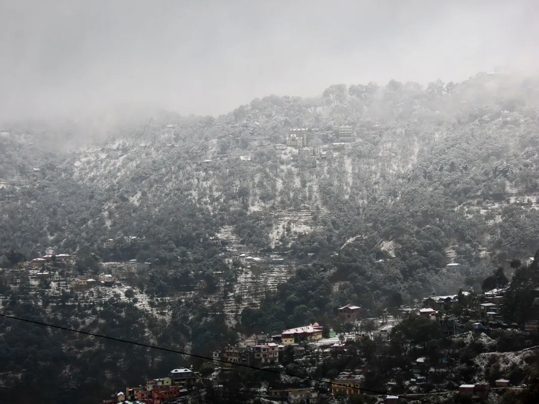 Kasauli Travel Guide