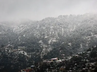 Kasauli Travel Guide