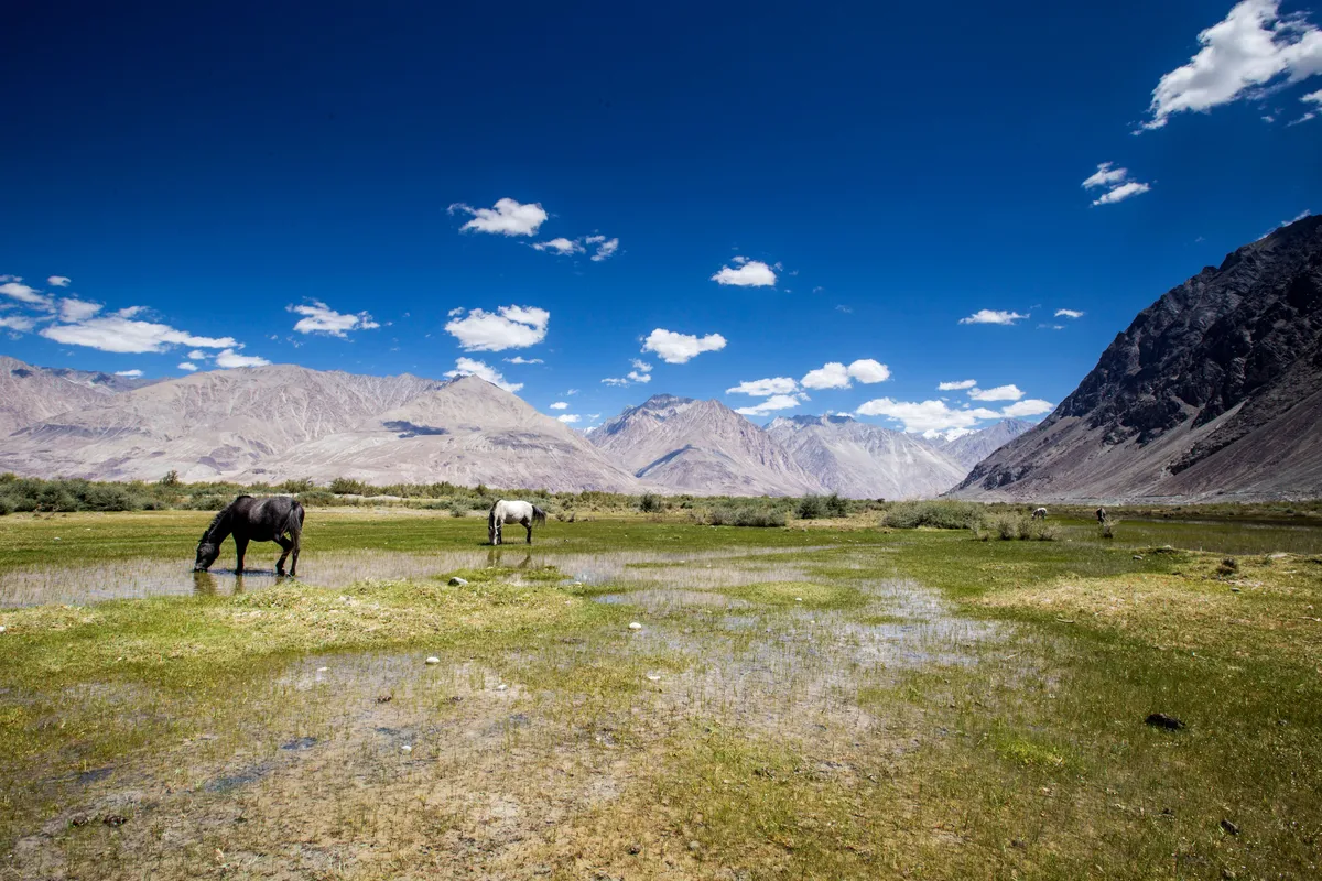 Khardung La Travel Guide