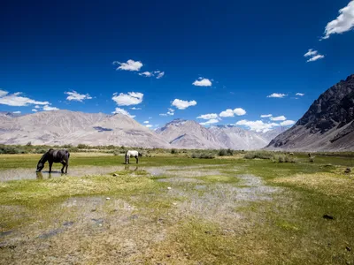 Khardung La Travel Guide