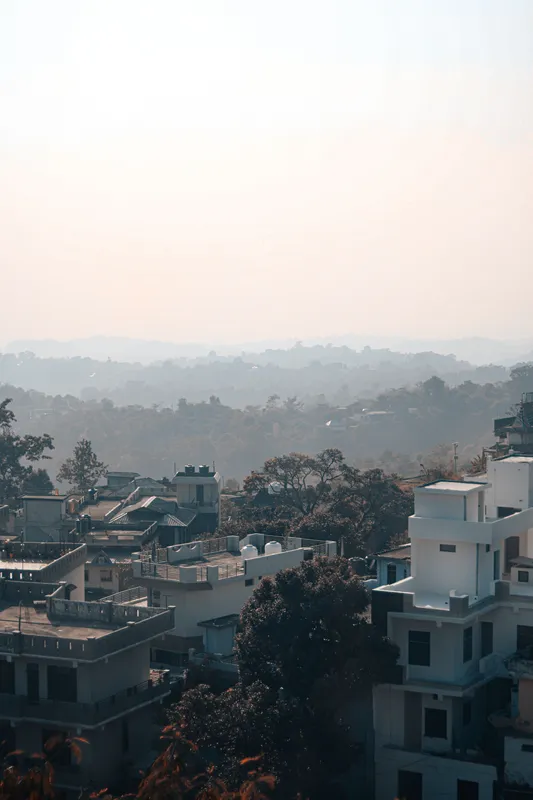 Palampur Travel Guide