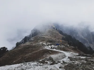 Triund Trek