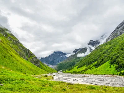 Valley of Flowers Trek
