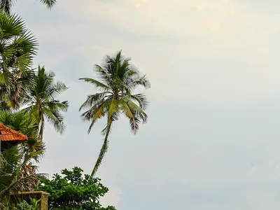 Varkala Travel Guide — Cliffside Kerala Beach on a Budget