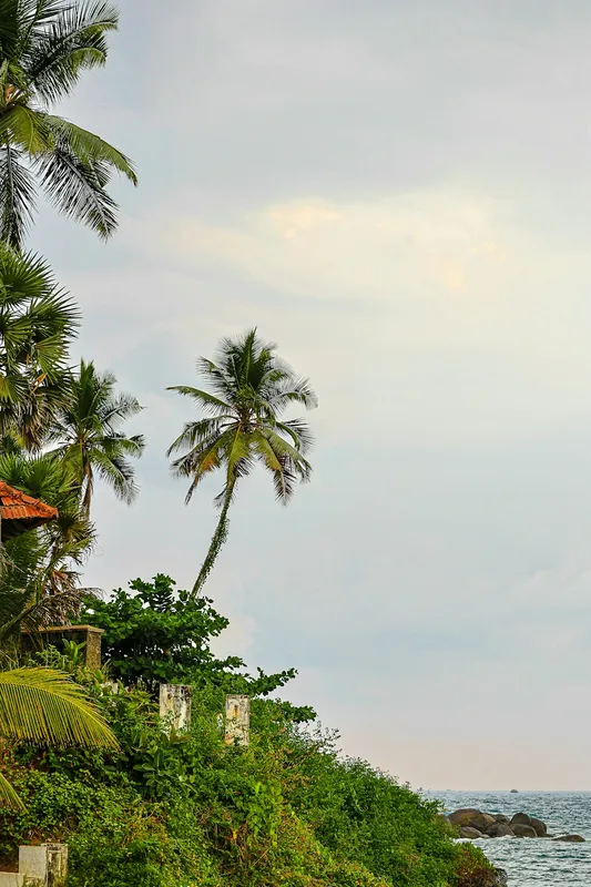 Varkala Travel Guide — Cliffside Kerala Beach on a Budget